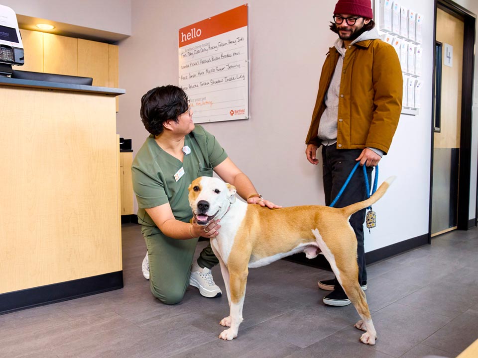 A CVT greeting a dog and their owner