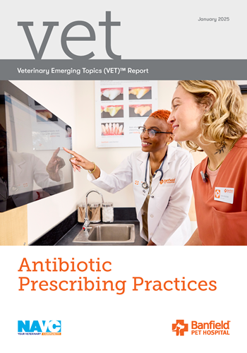 The cover of the 2025 VET report